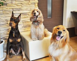 動物スタッフの写真